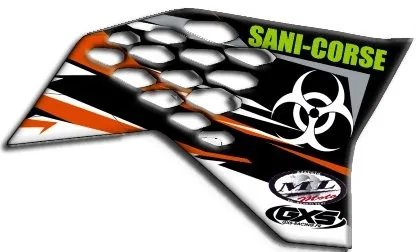Kit déco Kit Déco Ouies 100% Perso 50cc/65cc/85cc